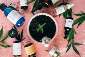 organicheskaya-kosmetika